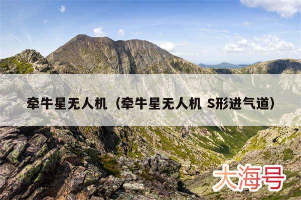 牵牛星无人机(牵牛星无人机 S形进气道)