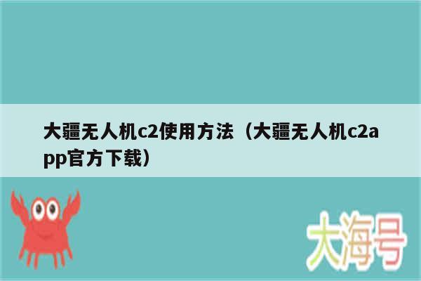 大疆无人机c2使用方法(大疆无人机c2app官方下载)