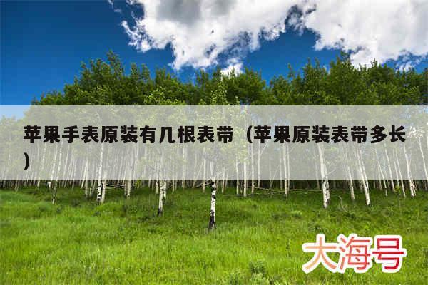 苹果手表原装有几根表带(苹果原装表带多长)