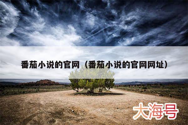 番茄小说的官网(番茄小说的官网网址)