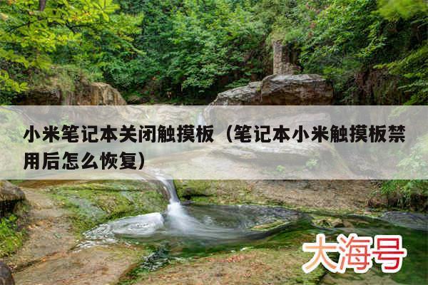 小米笔记本关闭触摸板(笔记本小米触摸板禁用后怎么恢复)