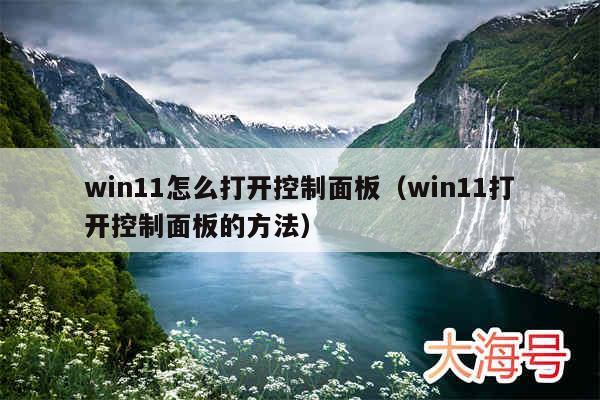 win11怎么打开控制面板(win11打开控制面板的方法)