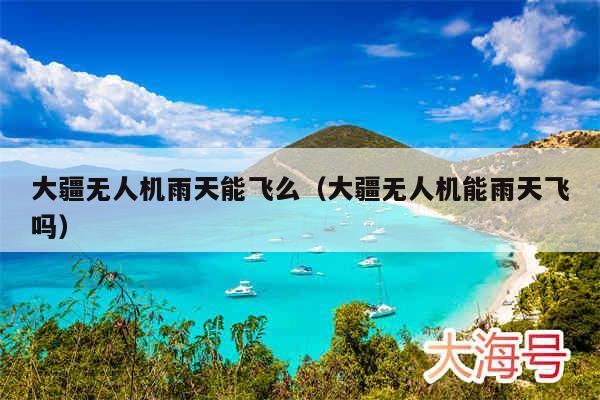 大疆无人机雨天能飞么(大疆无人机能雨天飞吗)