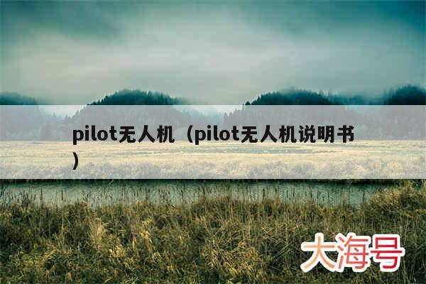 pilot无人机(pilot无人机说明书)