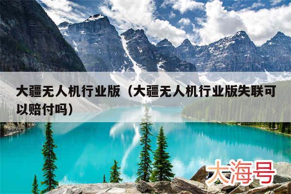 大疆无人机行业版(大疆无人机行业版失联可以赔付吗)