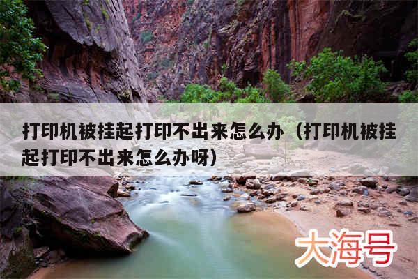 打印机被挂起打印不出来怎么办(打印机被挂起打印不出来怎么办呀)
