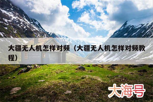 大疆无人机怎样对频(大疆无人机怎样对频教程)