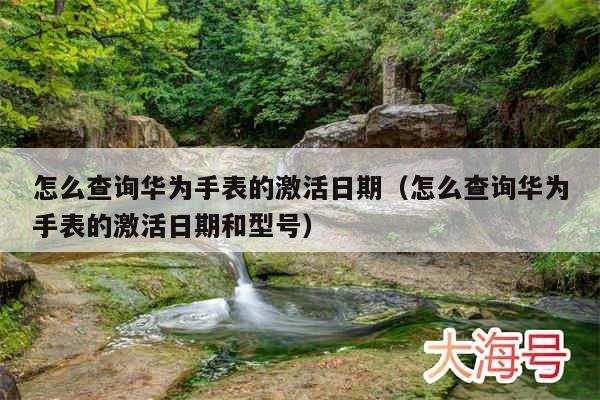 怎么查询华为手表的激活日期(怎么查询华为手表的激活日期和型号)