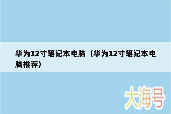华为12寸笔记本电脑(华为12寸笔记本电脑推荐)