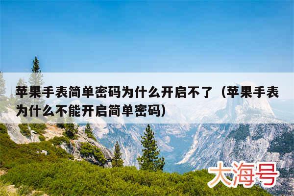 苹果手表简单密码为什么开启不了(苹果手表为什么不能开启简单密码)