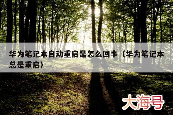 华为笔记本自动重启是怎么回事(华为笔记本总是重启)