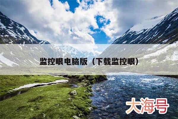 监控眼电脑版(下载监控眼)