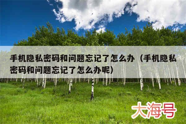 手机隐私密码和问题忘记了怎么办(手机隐私密码和问题忘记了怎么办呢)
