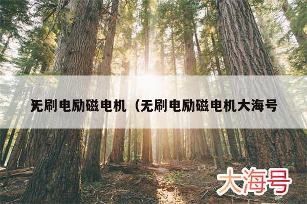 无刷电励磁电机(无刷电励磁电机大海号
)