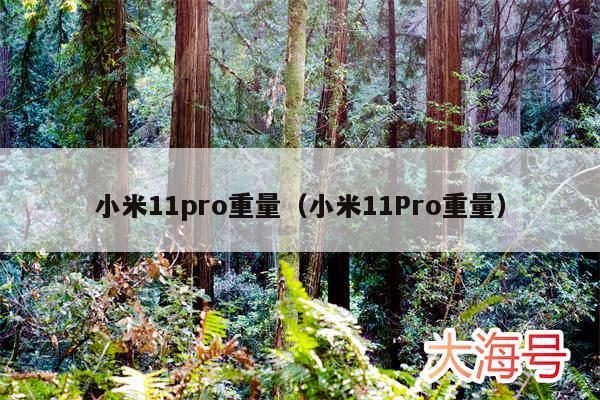 小米11pro重量(小米11Pro重量)