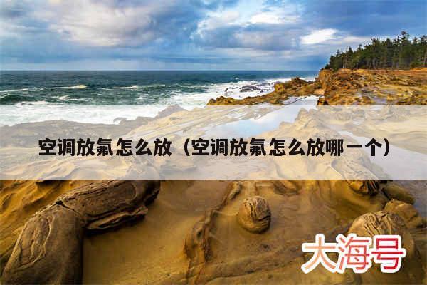 空调放氟怎么放(空调放氟怎么放哪一个)