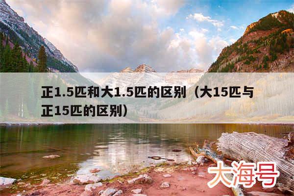 正1.5匹和大1.5匹的区别(大15匹与正15匹的区别)