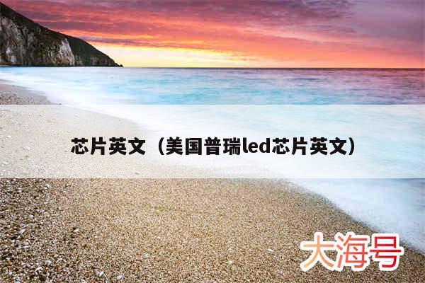 芯片英文(美国普瑞led芯片英文)