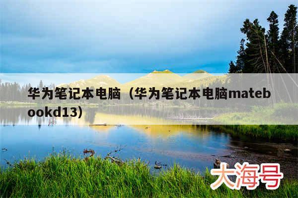 华为笔记本电脑(华为笔记本电脑matebookd13)
