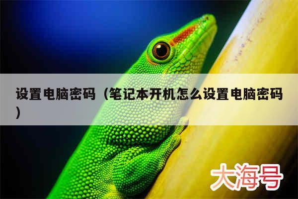设置电脑密码(笔记本开机怎么设置电脑密码)