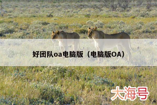 好团队oa电脑版(电脑版OA)