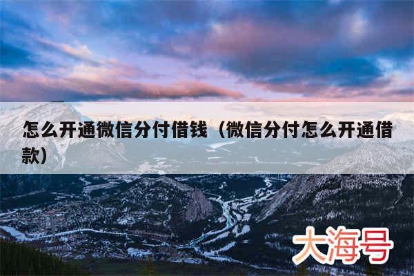怎么开通微信分付借钱(微信分付怎么开通借款)