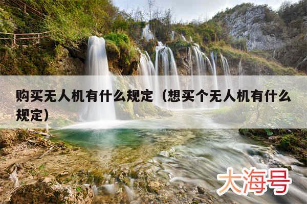 购买无人机有什么规定(想买个无人机有什么规定)