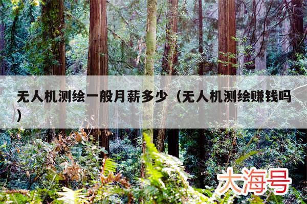 无人机测绘一般月薪多少(无人机测绘赚钱吗)