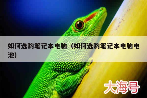 如何选购笔记本电脑(如何选购笔记本电脑电池)