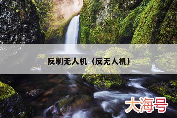 反制无人机(反无人机)