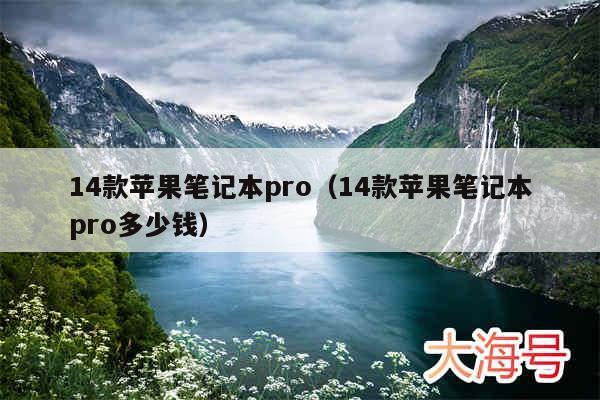 14款苹果笔记本pro(14款苹果笔记本pro多少钱)