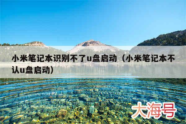 小米笔记本识别不了u盘启动(小米笔记本不认u盘启动)