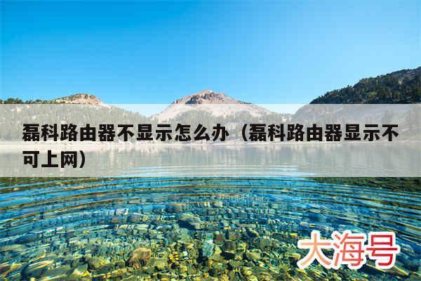 磊科路由器不显示怎么办(磊科路由器显示不可上网)
