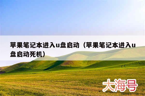 苹果笔记本进入u盘启动(苹果笔记本进入u盘启动死机)
