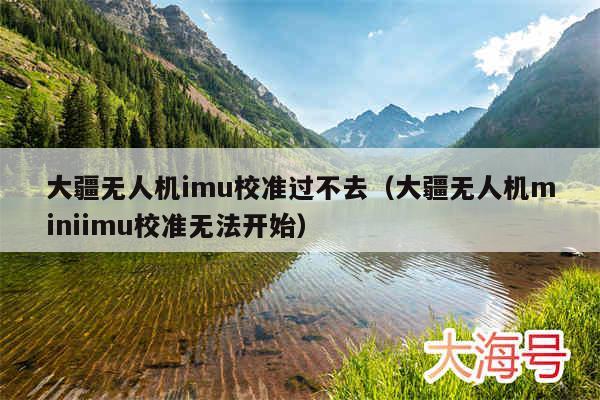 大疆无人机imu校准过不去(大疆无人机miniimu校准无法开始)