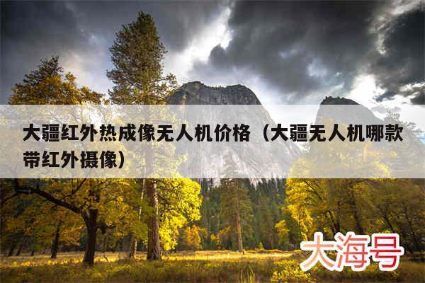 大疆红外热成像无人机价格(大疆无人机哪款带红外摄像)