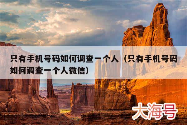 只有手机号码如何调查一个人(只有手机号码如何调查一个人微信)