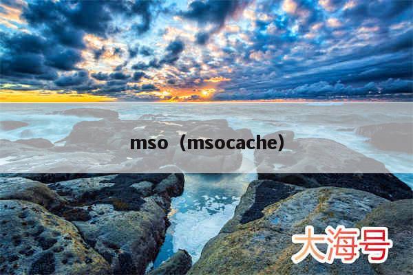 mso(msocache)