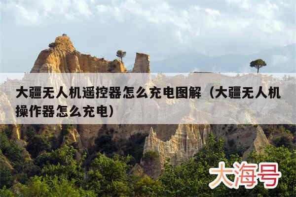 大疆无人机遥控器怎么充电图解(大疆无人机操作器怎么充电)