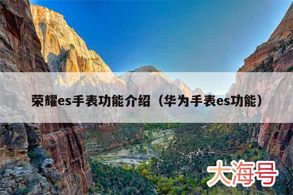 荣耀es手表功能介绍(华为手表es功能)