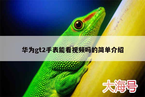 华为gt2手表能看视频吗的简单介绍