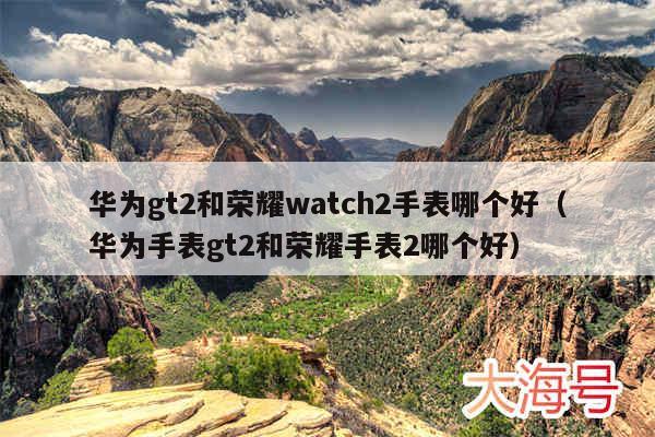 华为gt2和荣耀watch2手表哪个好(华为手表gt2和荣耀手表2哪个好)