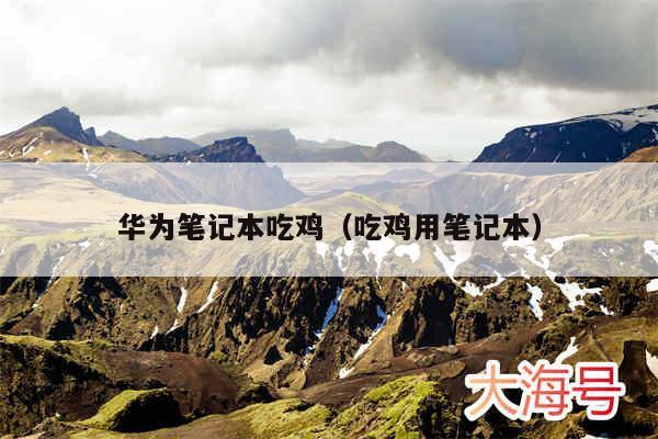 华为笔记本吃鸡(吃鸡用笔记本)