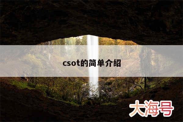 csot的简单介绍
