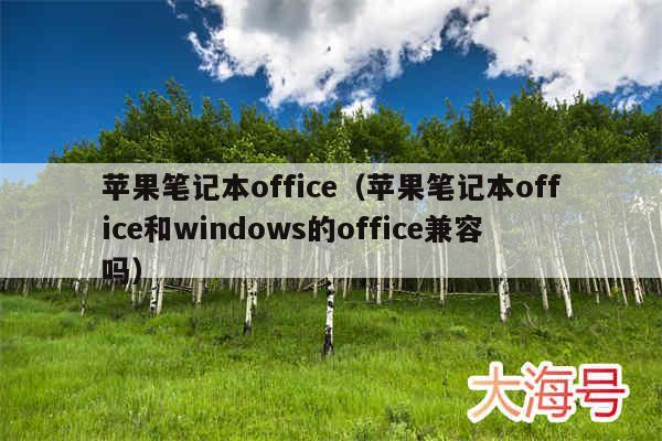 苹果笔记本office(苹果笔记本office和windows的office兼容吗)