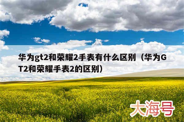 华为gt2和荣耀2手表有什么区别(华为GT2和荣耀手表2的区别)