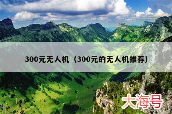 300元无人机(300元的无人机推荐)