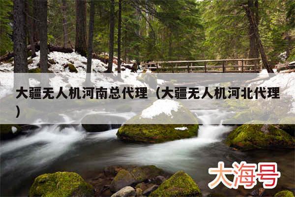 大疆无人机河南总代理(大疆无人机河北代理)