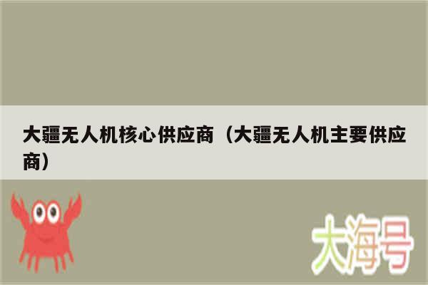 大疆无人机核心供应商(大疆无人机主要供应商)