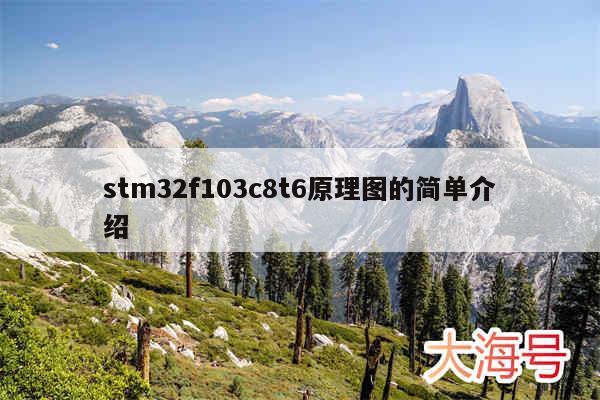 stm32f103c8t6原理图的简单介绍